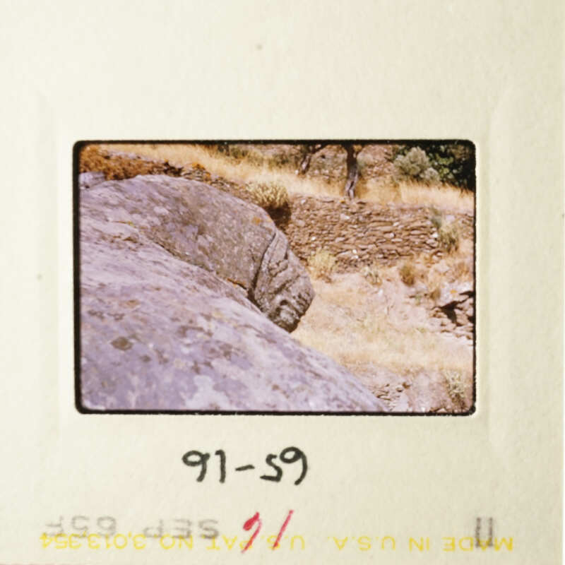 A rocky landscape with a dirt road and a small tree, captured in an old photograph.