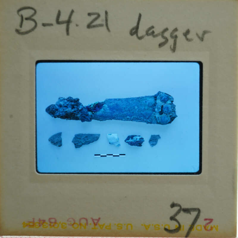 A photograph of a fossilized bone with fragments and labels, displayed on a card.