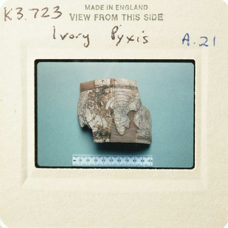 Old ivory artifact with worn edges and markings on display.