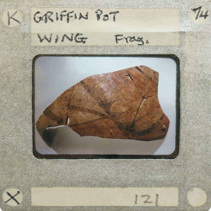 A photograph of a griffin wing on a broken pot
