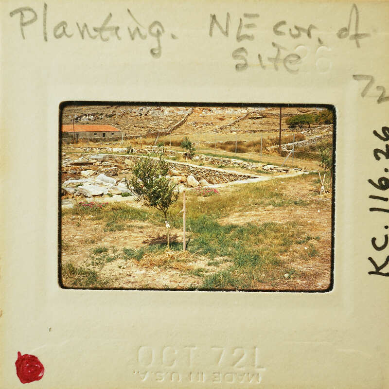 An old photo of a garden with handwritten notes on the border.