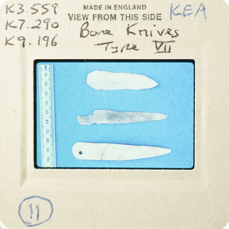 A collection of bone knives on display with labels and measurements.