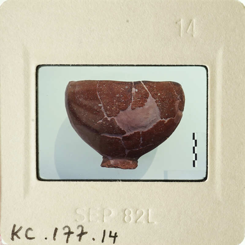 Cracked brown clay artifact on display.