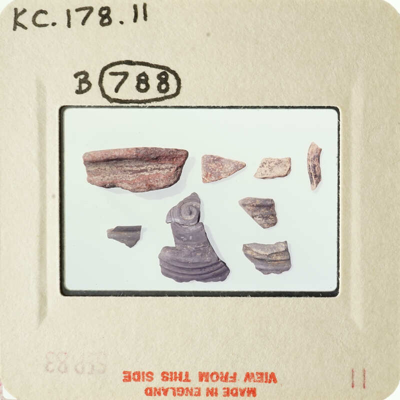 A collection of ancient pottery shards on display.