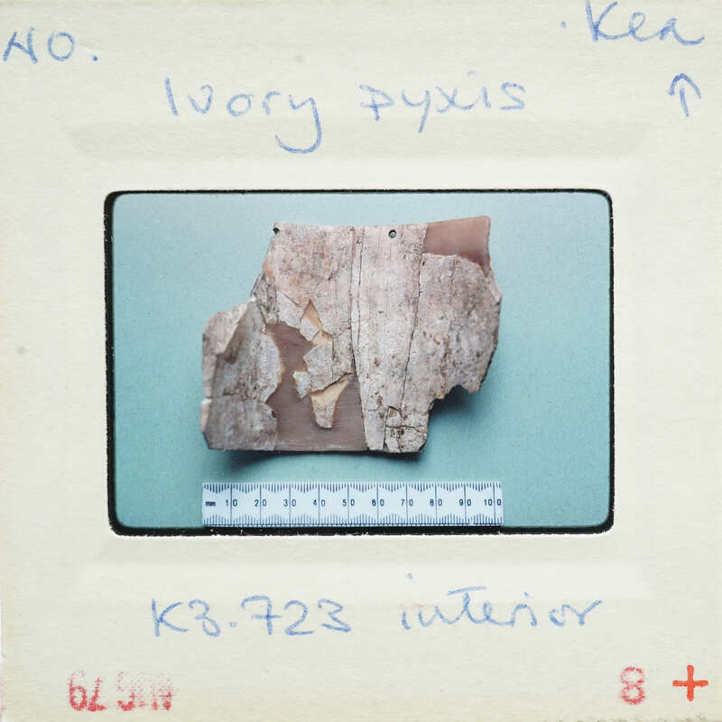 A photograph of a broken ivory artifact with measurement lines and labels, displayed on a white surface.