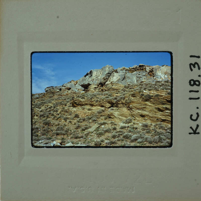 A photograph of a rocky hillside with sparse vegetation.