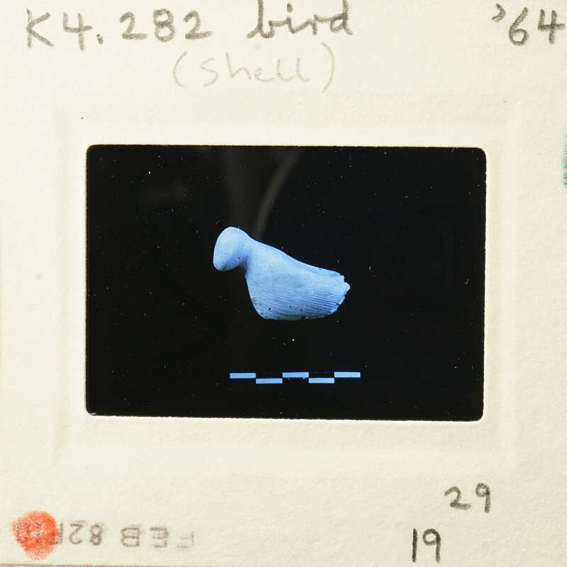 A photograph of an object resembling a bird, possibly a fossil or artifact, with a blue tint and a blurred background.