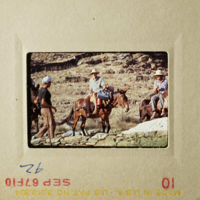Two pictures showing people riding horses on a trail.