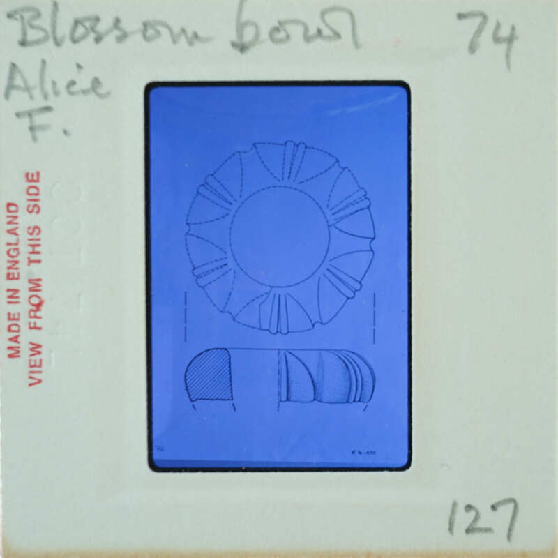 Blue and white image of a flower with petals, stem, and leaves on a card with red writing.