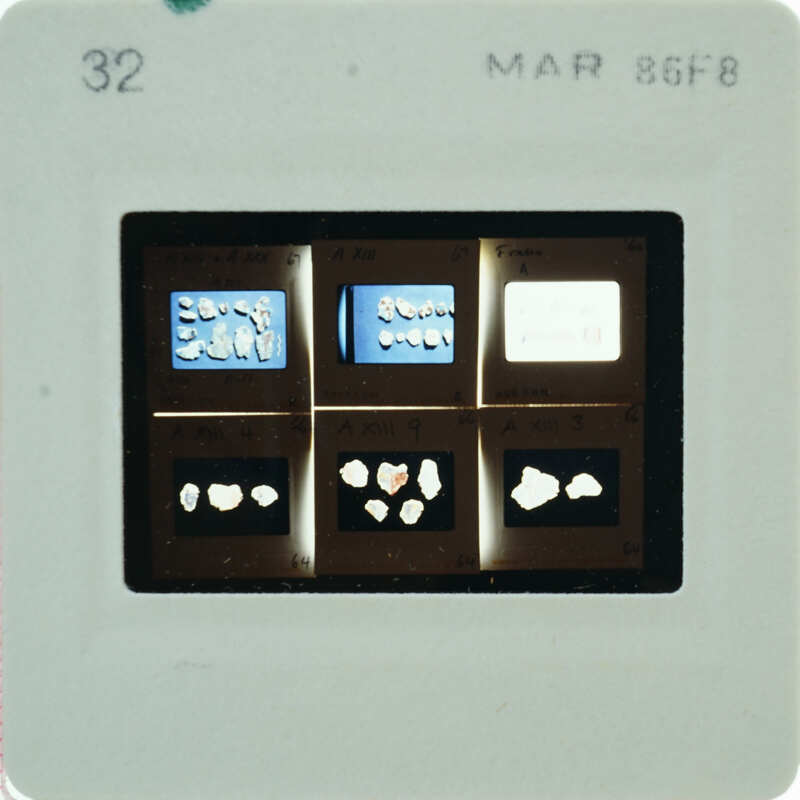 A slide with images of frescoes