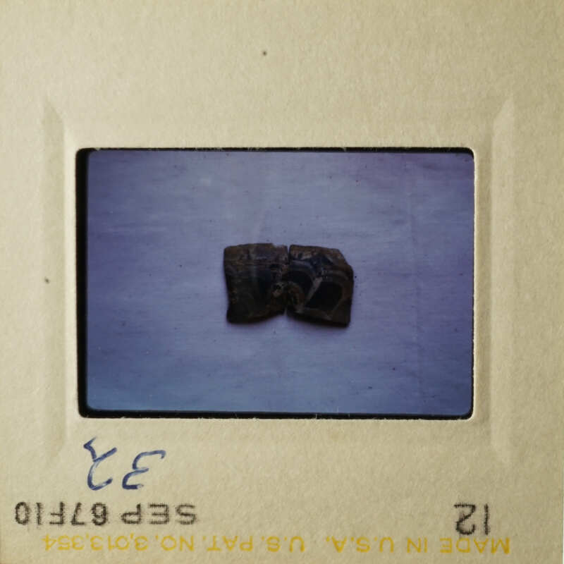 This is an image of two slides, one with a black and white photo of a small object on a table, and the other showing a close-up of a single black and white photograph.