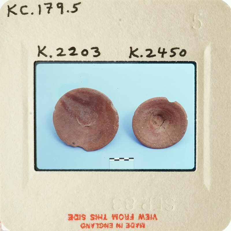 Two circular objects with different textures, possibly specimens, on a white background.