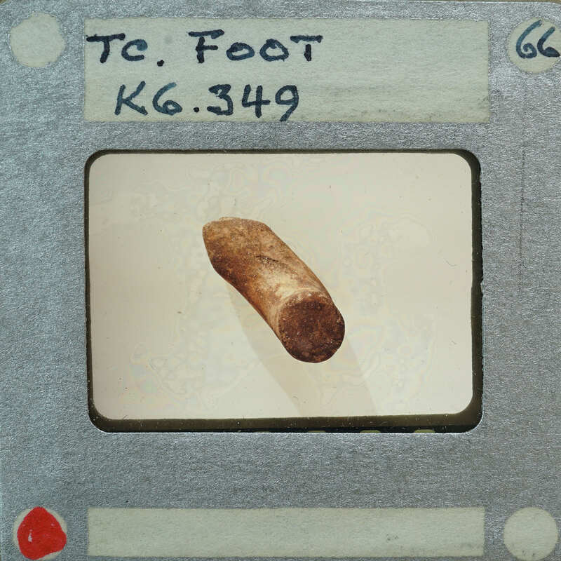A vintage film strip with a handwritten label and an image of a brown object resembling a sausage or meat product.