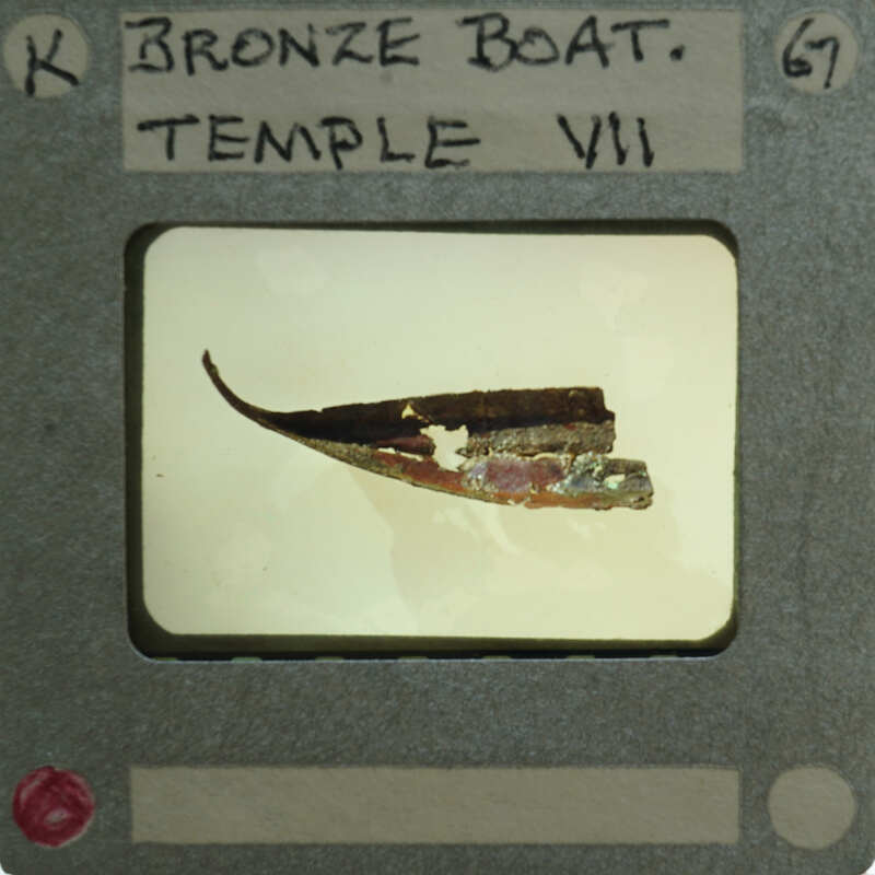 Picture of a small fish on film strip with label.