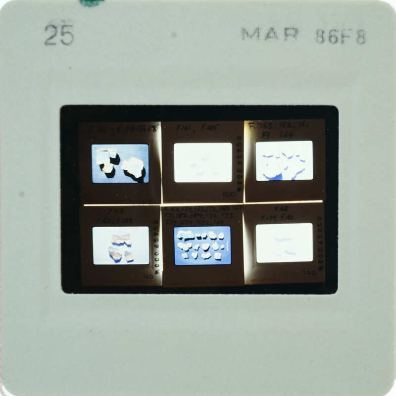 A slide with images of frescoes