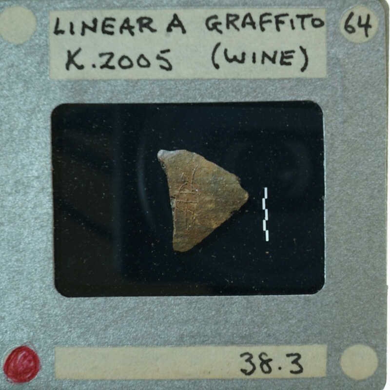 A slide displaying a small object, possibly an artifact, with annotations and measurements indicating it's being analyzed.