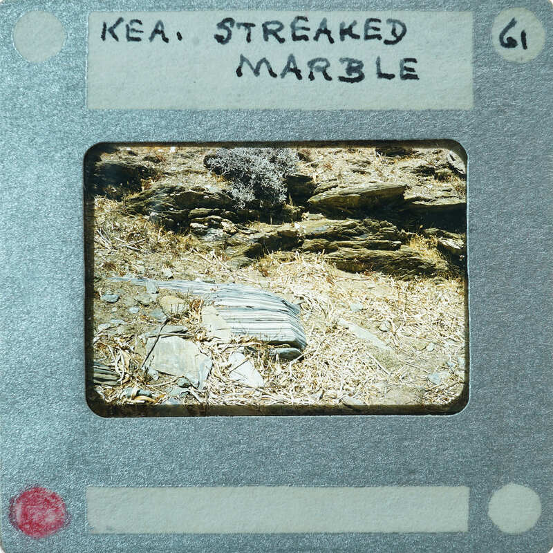 Exposed marble stone coming from the ground.