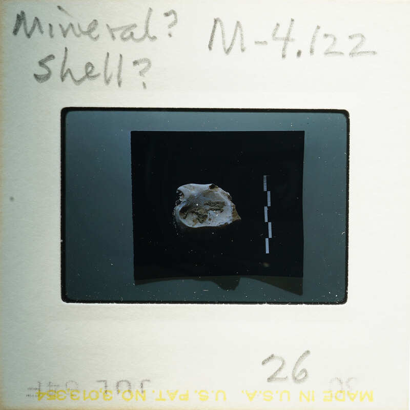 A close-up photograph of a rock or mineral sample with annotations.