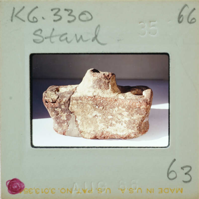 An old, cracked object resembling a fossil or artifact on display.