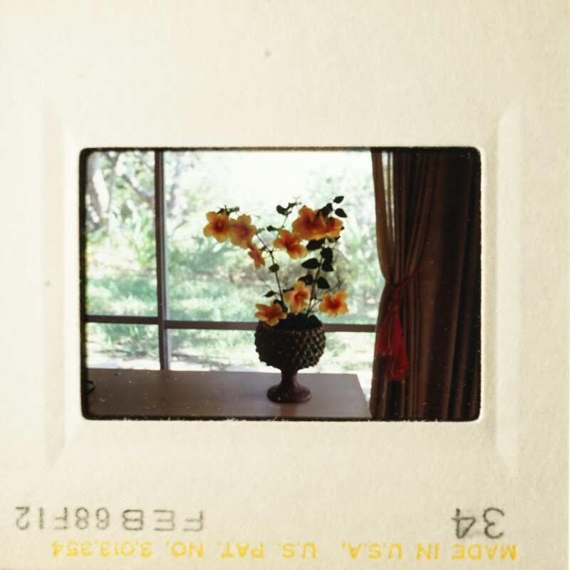 The images show two different scenes, one with flowers and another with a vase.