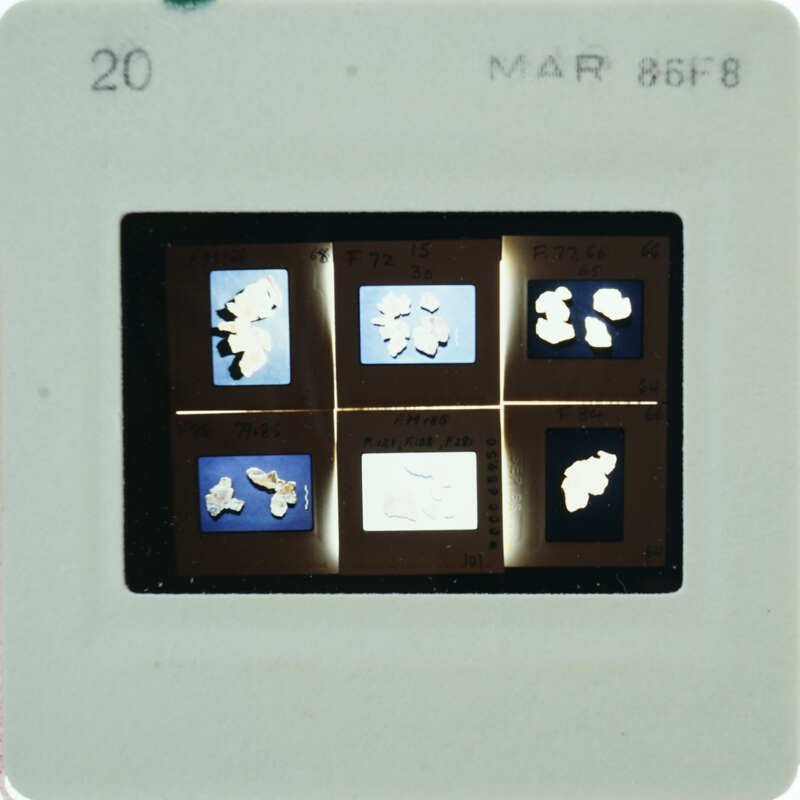 A slide with images of frescoes