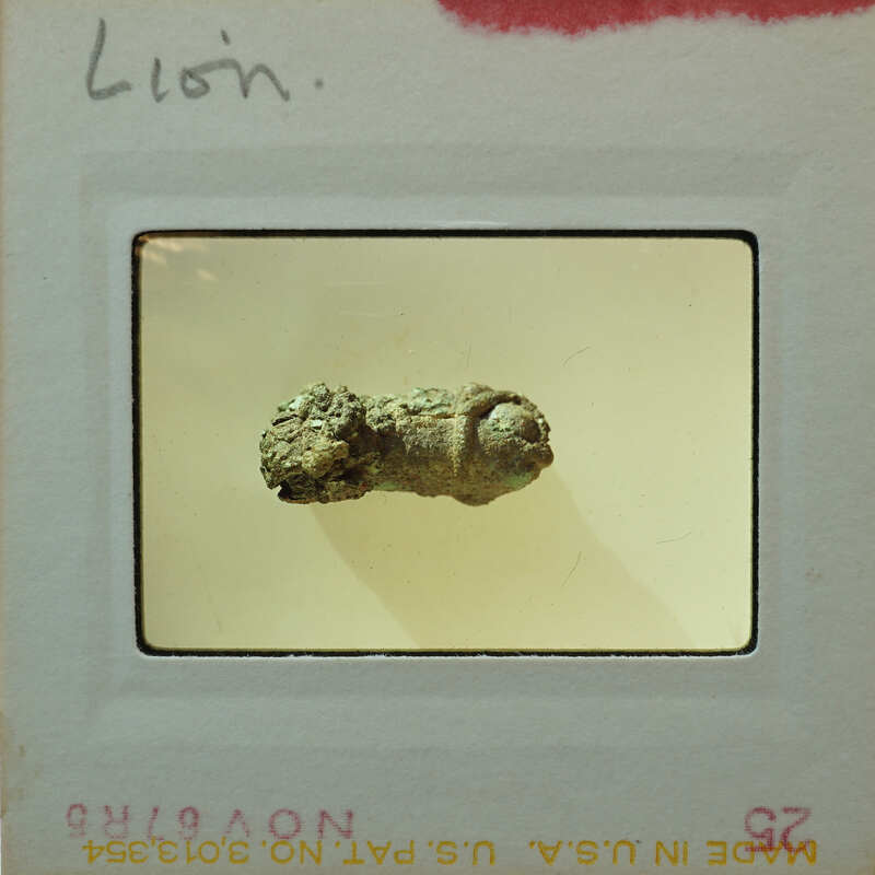 A bronze sculpture of a lion from the top in poor condition.