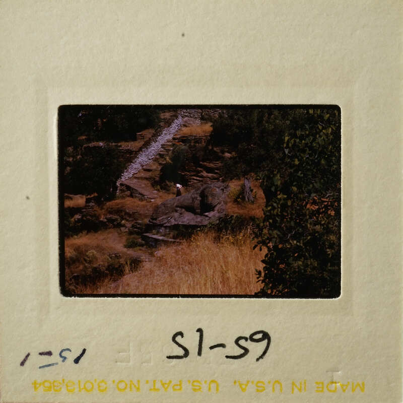 A photograph on a film strip showing a natural landscape with trees and rocks.