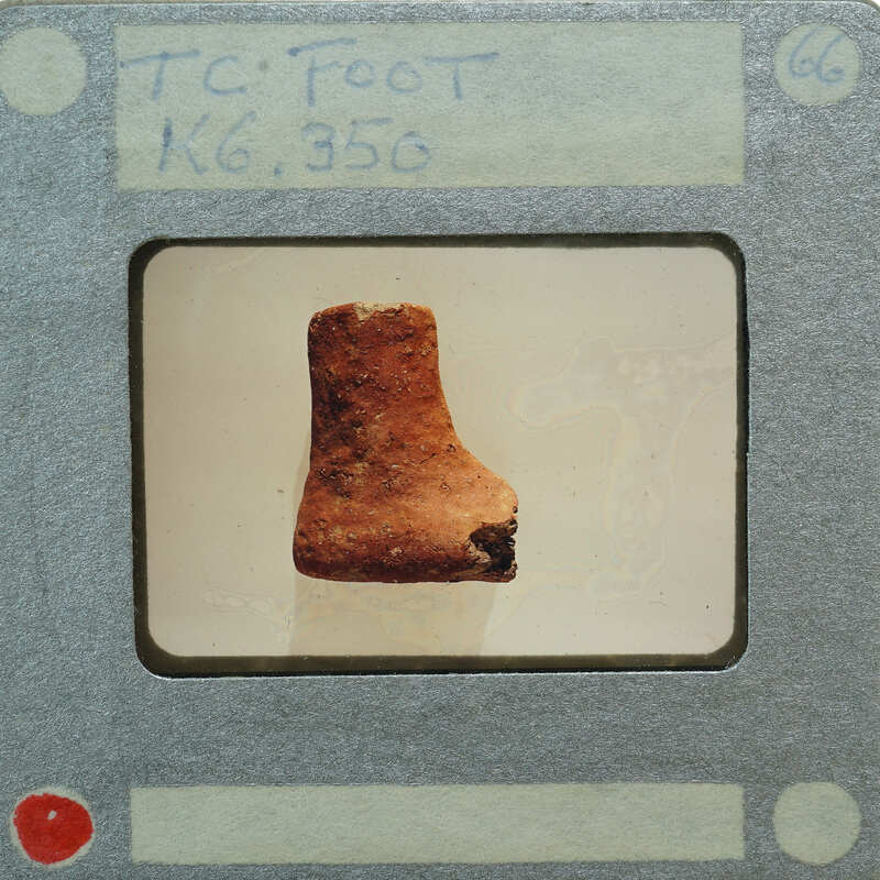 Image of a small, brown object resembling a fossil or artifact with a label and numbers on it.