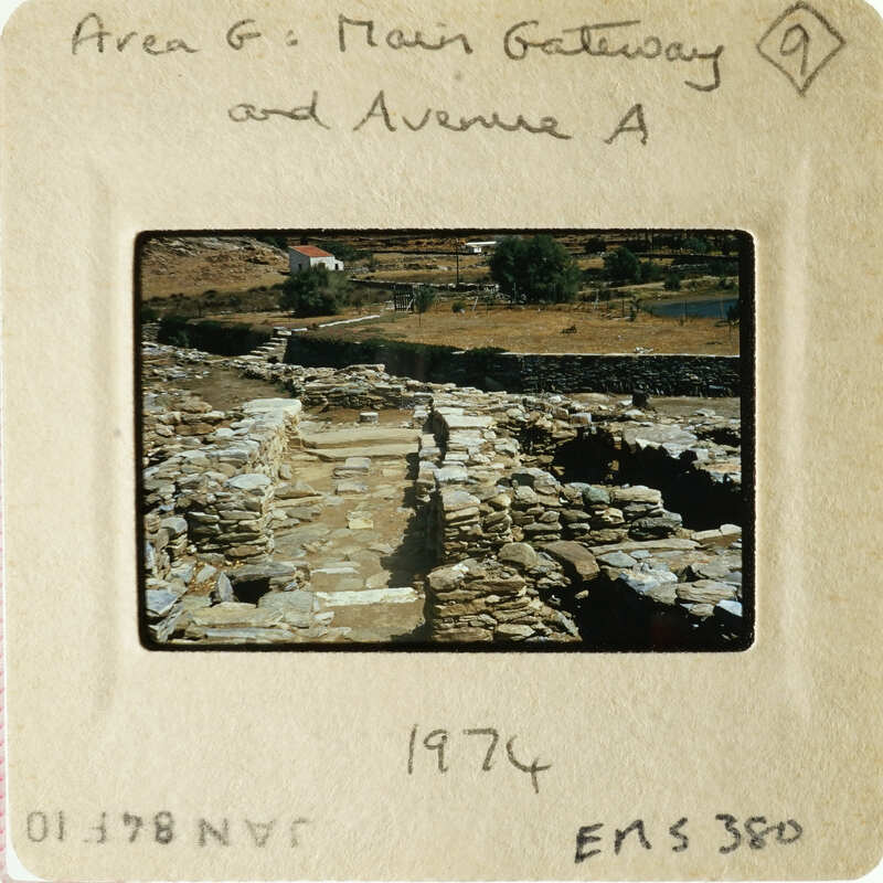 A photograph of an ancient stone pathway with vegetation and ruins.