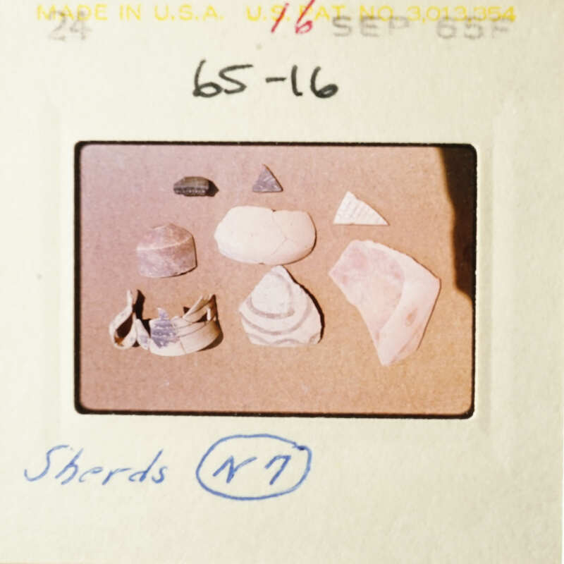 The image shows a collection of seashells and rocks displayed on a table, with each item distinctly separated from the others.