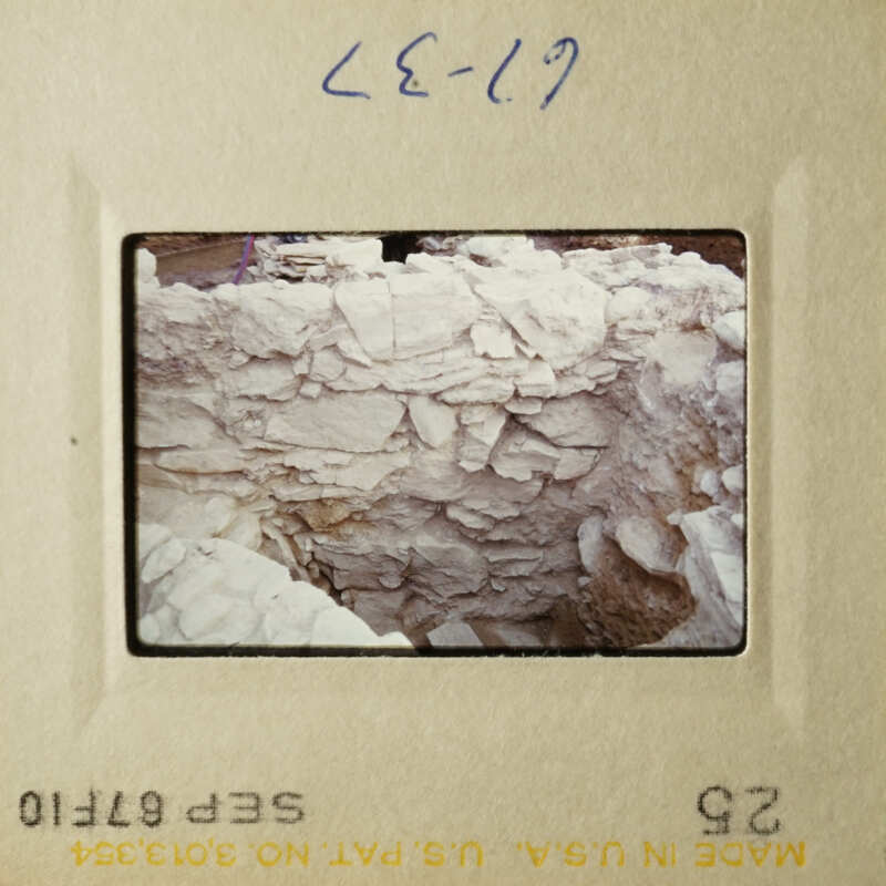 This is a photograph of an old slide showing a rock wall with some vegetation growing on it.