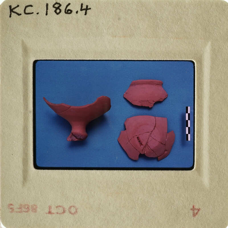 Pink clay pottery fragments on blue background.