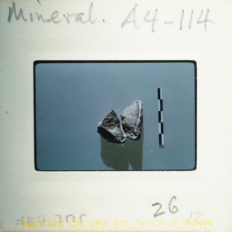 The image shows a small rock specimen with measurement lines, indicating its size on a scale.