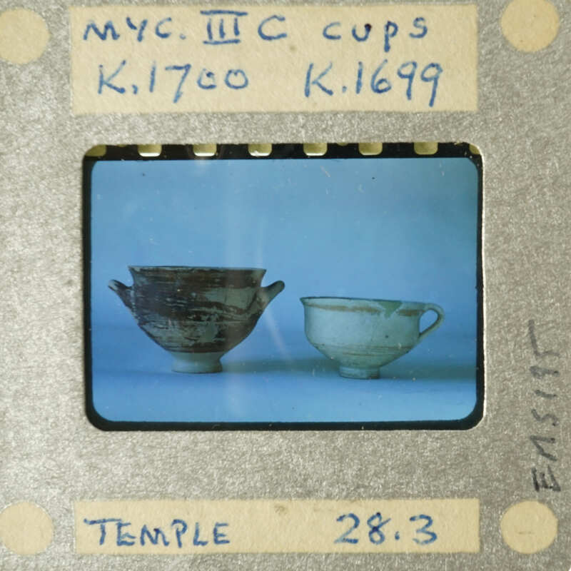 Two cups on a table.