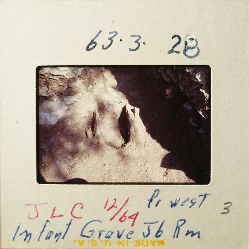 A photograph showing an excavation site with human remains and artifacts, accompanied by a label indicating its origin from Israel.