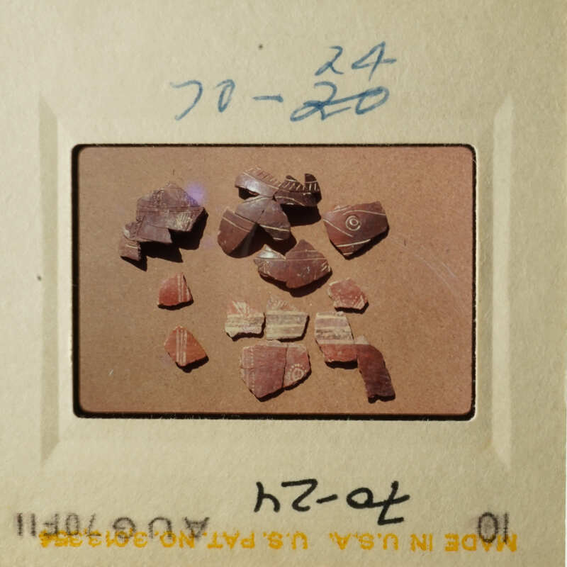 A collection of small, brown shards on a table, possibly broken pieces of pottery.