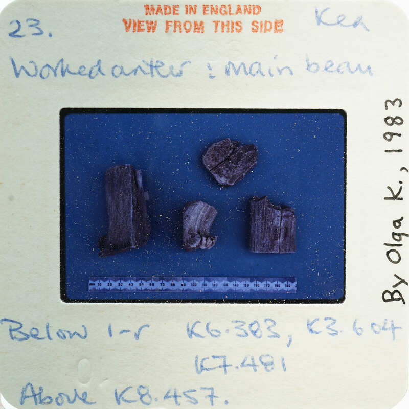 FIve small, dark objects on a blue background with handwritten notes and labels around it.