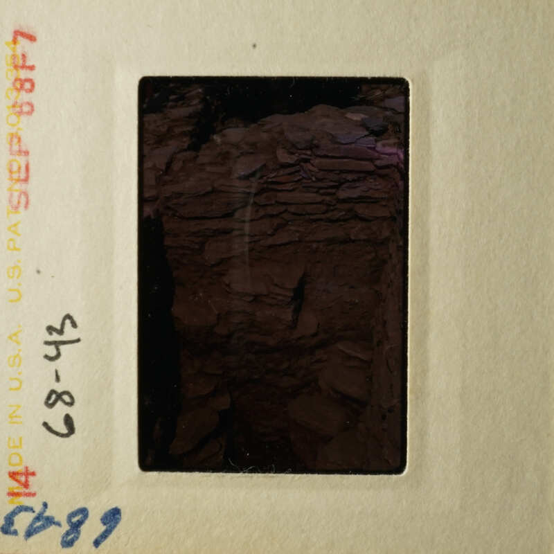 This is an antique photograph depicting a close-up of a rock formation, possibly from a geological study or collection.