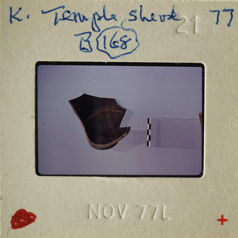 Small, dark-colored object on light surface with white border and handwritten notes.