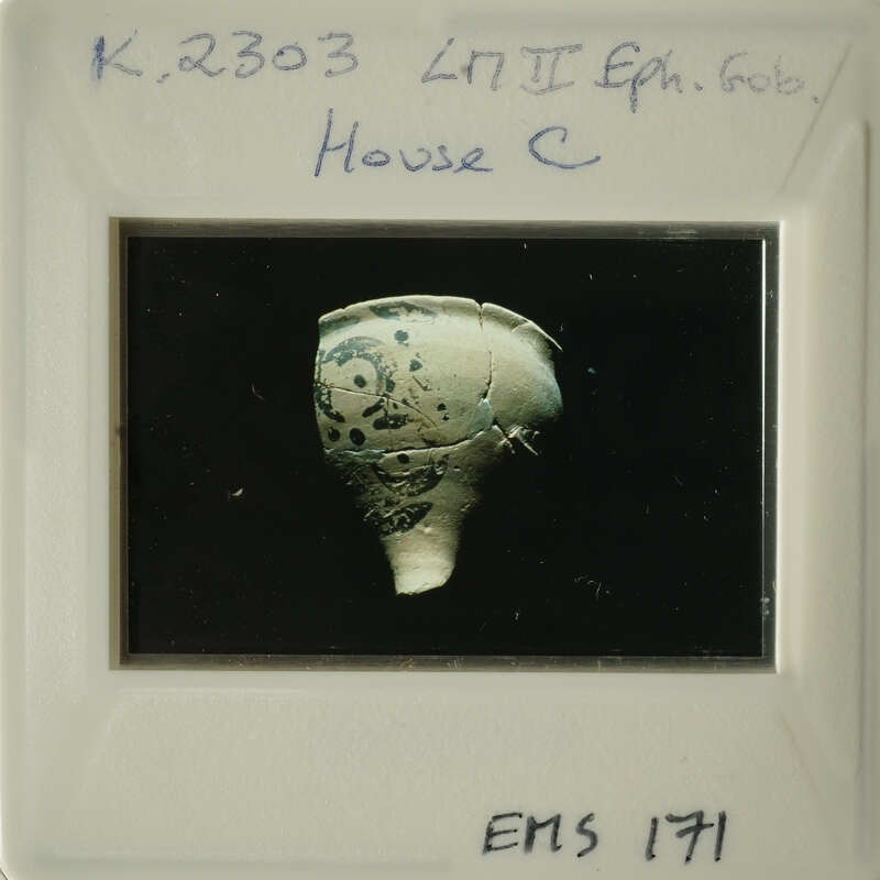 Ancient pottery with markings, photographed on a slide and labeled "EMS 171".