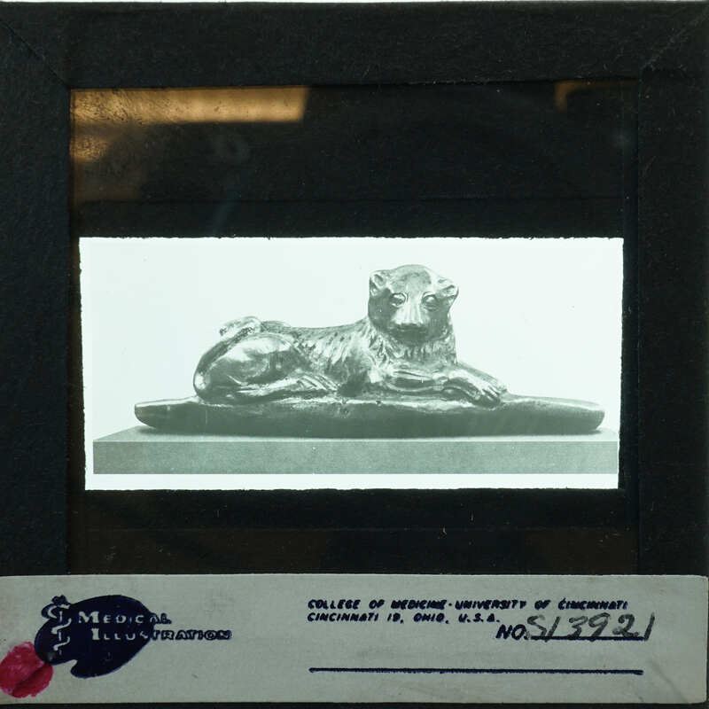 A lion statue on display, captured in an antique photograph.