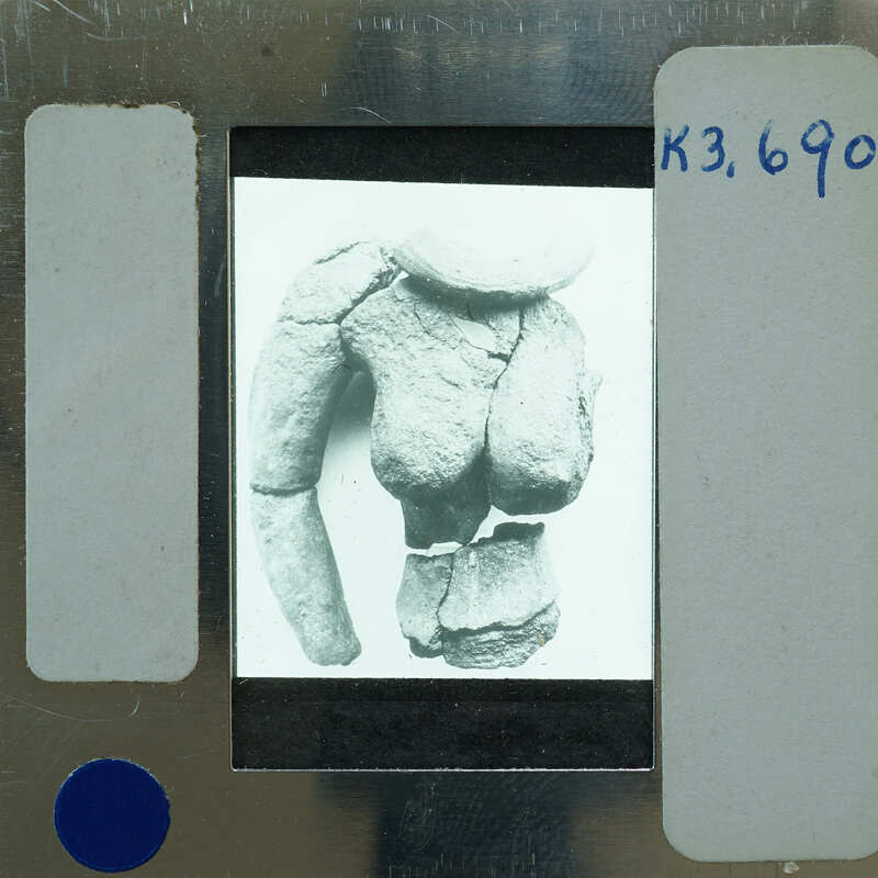 A black and white image of a fossilized human upper body on film.