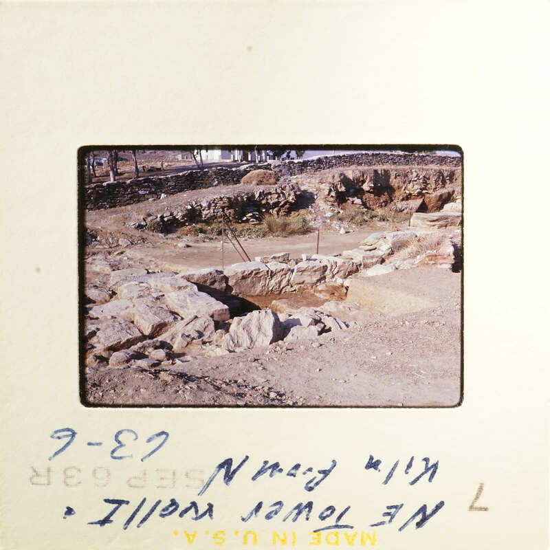 Aerial view of an ancient archaeological site with ruins and vegetation.