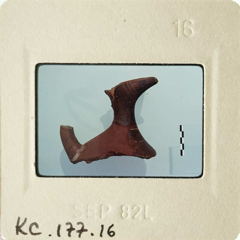 Small, curved bone fragment on white background.