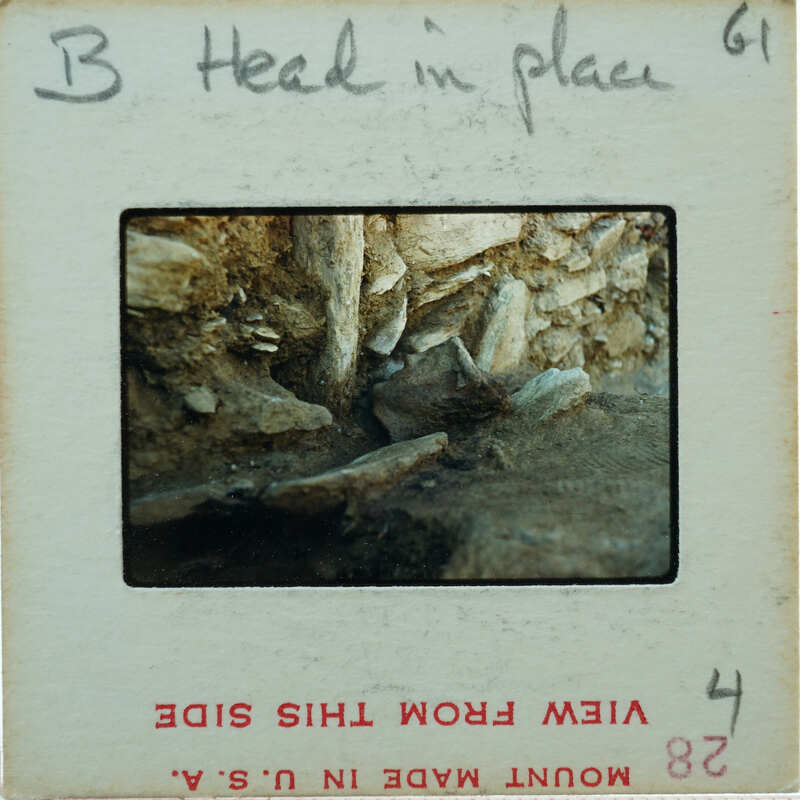 Detail of Terracotta head found against a stone wall.