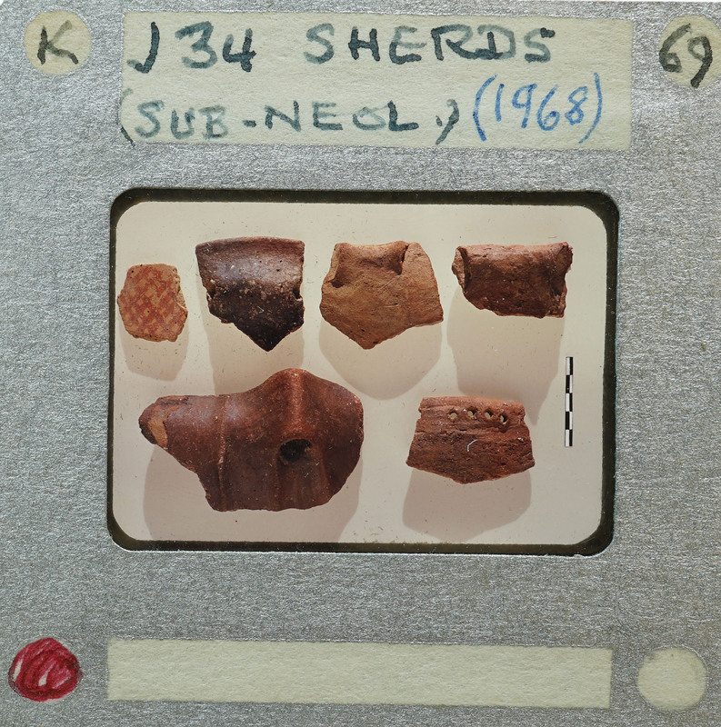 A collection of small, brown clay objects displayed on a white surface with labels and numbers.