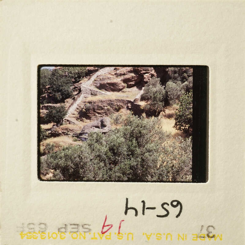 A photograph of a rocky landscape with vegetation, viewed from above.