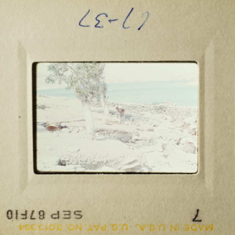 Two vintage photos showing different scenes, one with a person and another with a landscape.