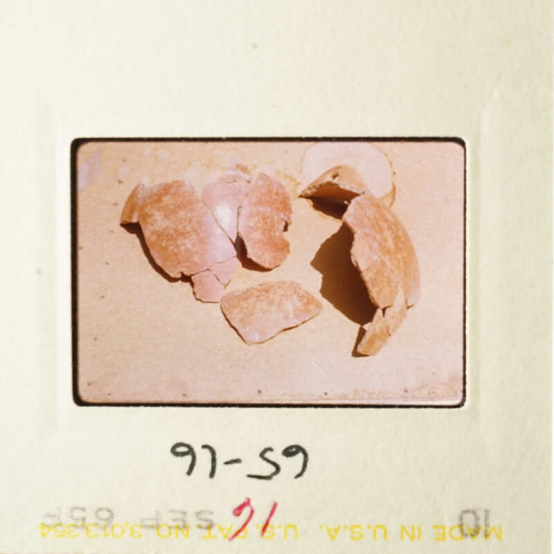 The image shows a collection of broken eggshells on a surface.