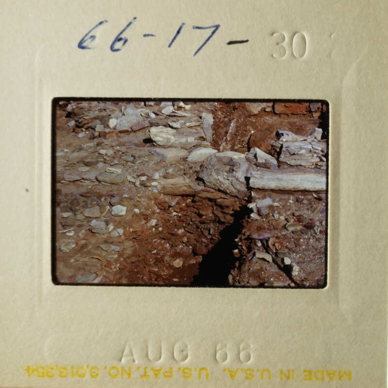 This is an image of a photographic slide showing a close-up view of a rocky terrain with some vegetation, possibly taken during a geological survey or exploration.
